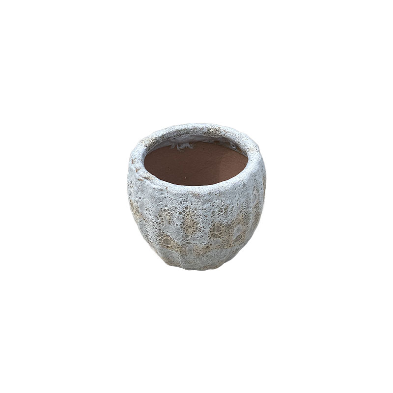 Trắng Đục