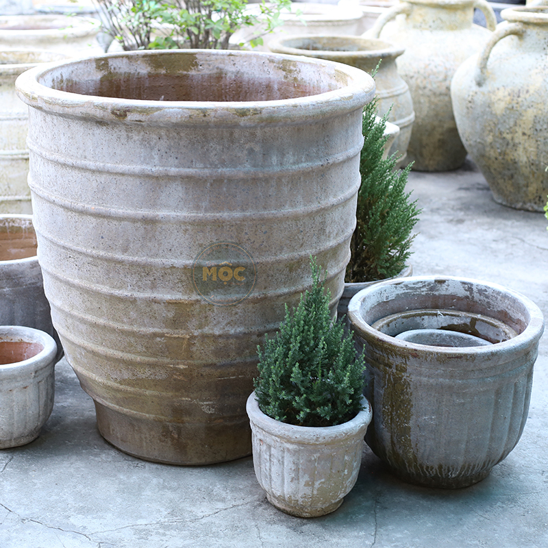 4052 Men Mỹ Thuật Chậu Bí Cao 43x43x40